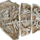 The articulated ankylosaur remains.